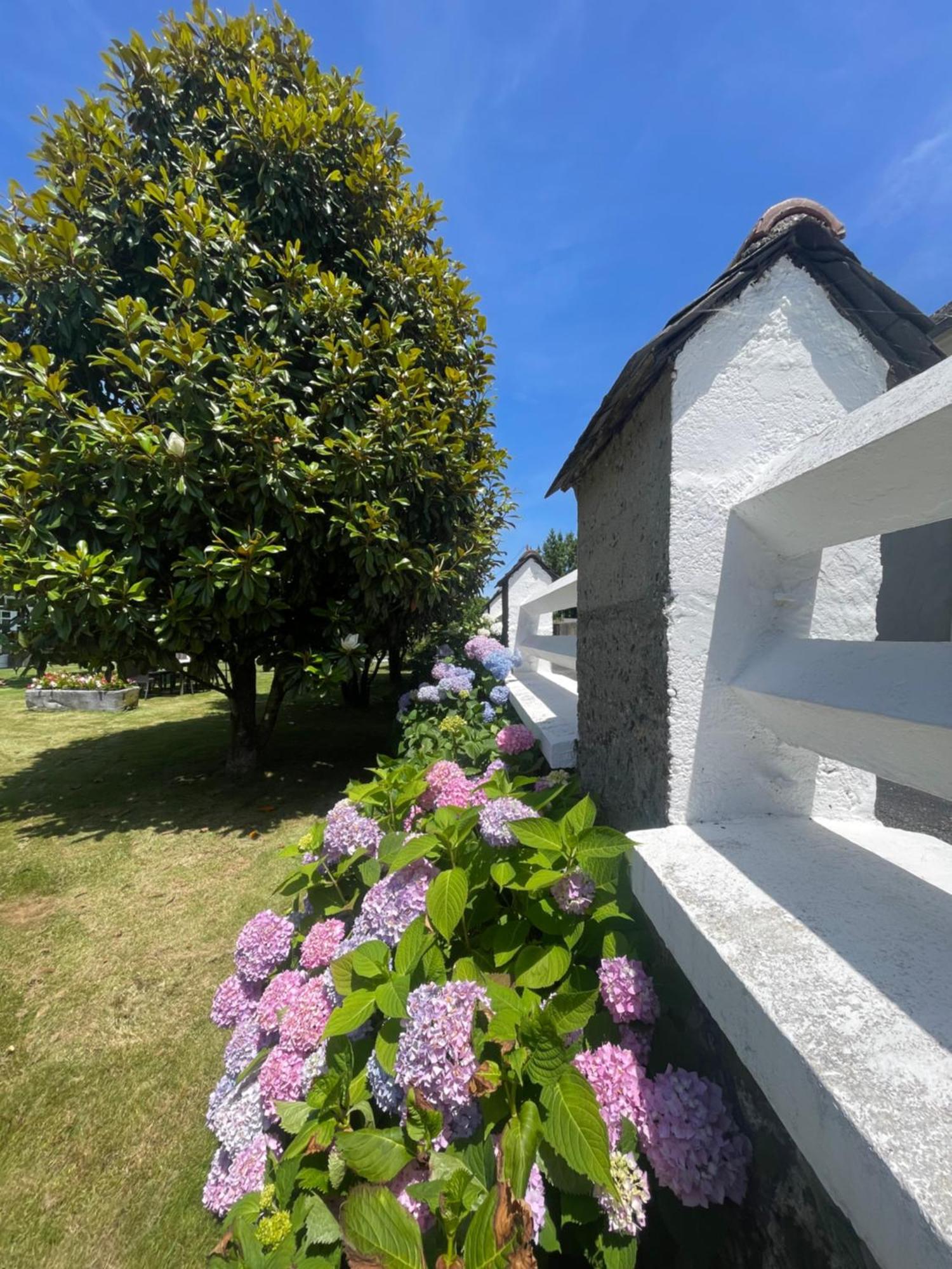 Les Hortensias Bed and Breakfast Espoey Buitenkant foto